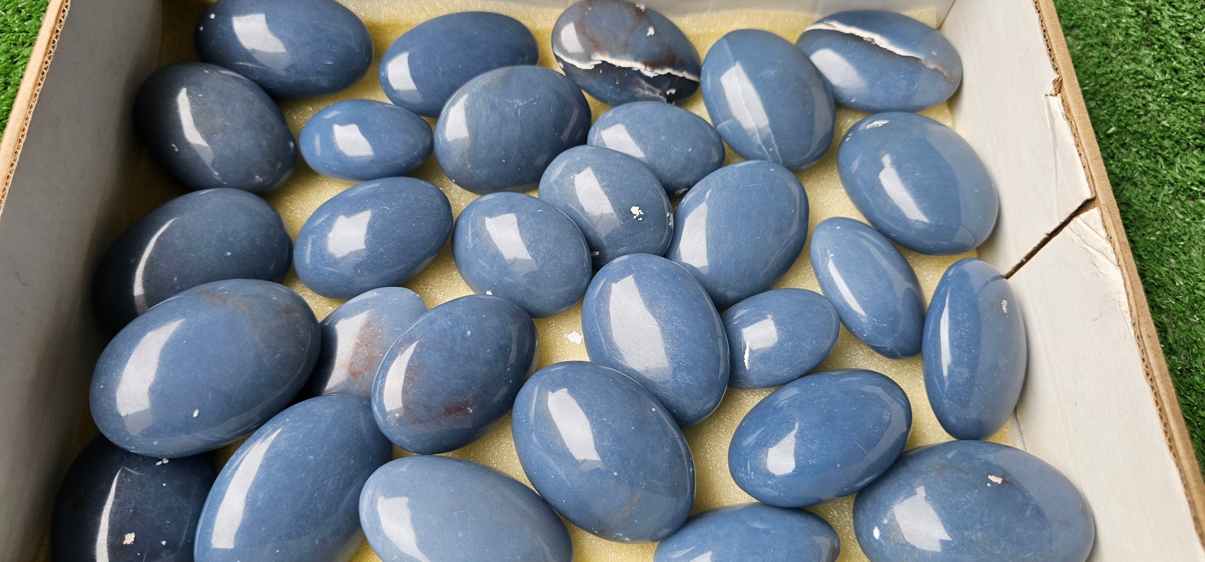 Lot 29 Angelite Palm
