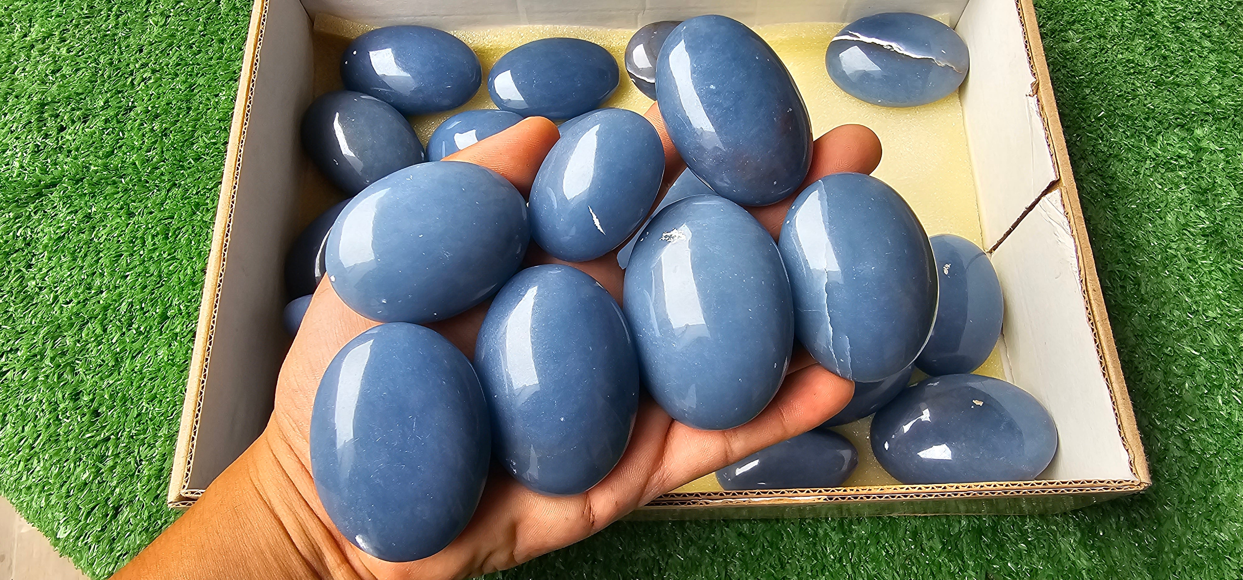 Lot 29 Angelite Palm