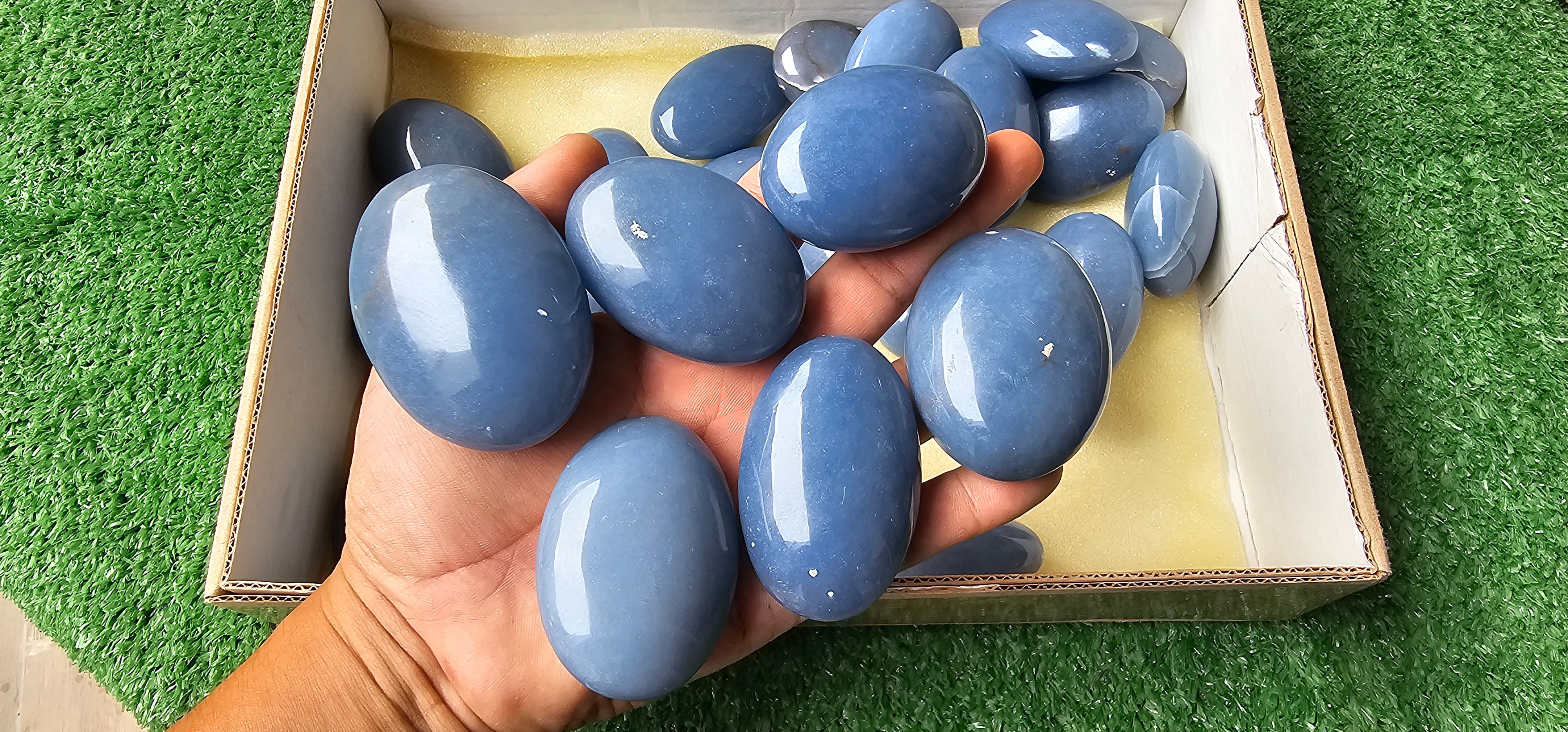 Lot 29 Angelite Palm