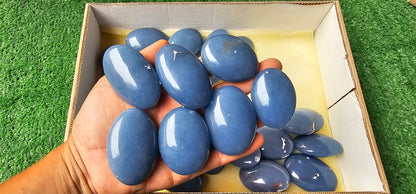 Lot 29 Angelite Palm