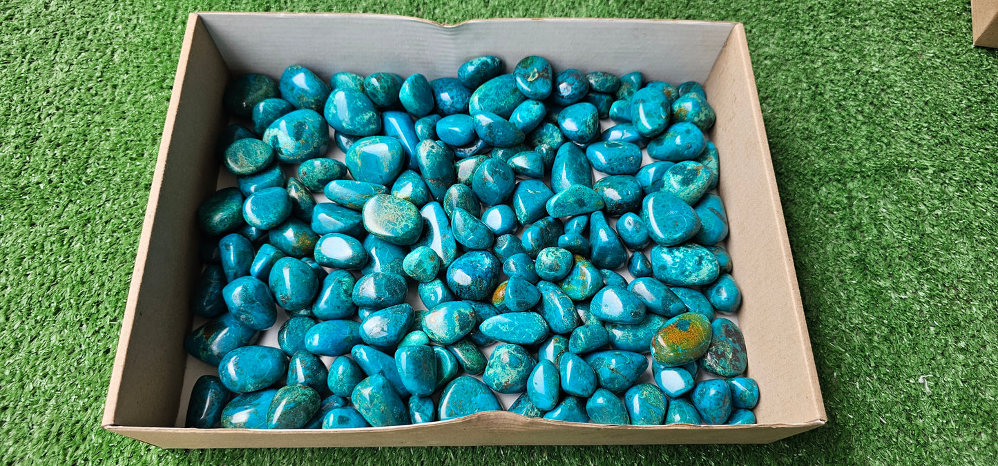 Lot 2 kg Chrysocolla Tumbled