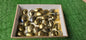Lot 28 Chalcopyrite palm