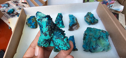 Lot 9 Chrysocolla Quartz Rough