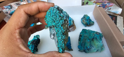 Lot 9 Chrysocolla Quartz Rough