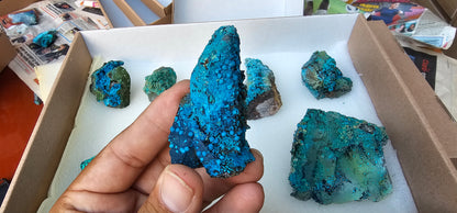 Lot 9 Chrysocolla Quartz Rough