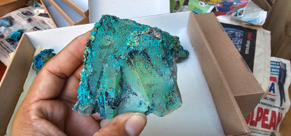 Lot 9 Chrysocolla Quartz Rough