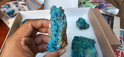 Lot 9 Chrysocolla Quartz Rough