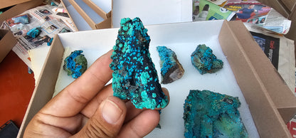 Lot 9 Chrysocolla Quartz Rough