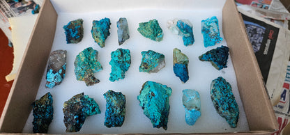 Lot 18 Chrysocolla Quartz Rough