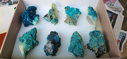 Lot 8 Chrysocolla Quartz Rough