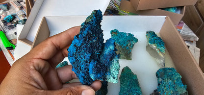 Lot 8 Chrysocolla Quartz Rough