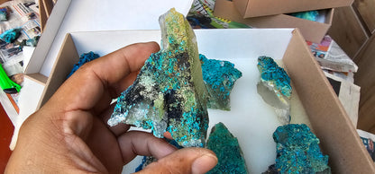 Lot 8 Chrysocolla Quartz Rough