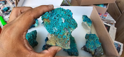 Lot 8 Chrysocolla Quartz Rough