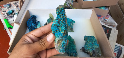 Lot 8 Chrysocolla Quartz Rough