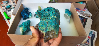 Lot 8 Chrysocolla Quartz Rough