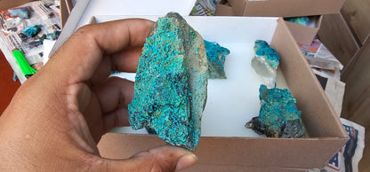 Lot 8 Chrysocolla Quartz Rough