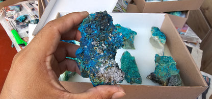 Lot 8 Chrysocolla Quartz Rough