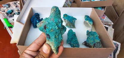 Lot 8 Chrysocolla Quartz Rough