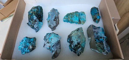 Lot 8 Chrysocolla Quartz Rough