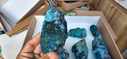 Lot 8 Chrysocolla Quartz Rough