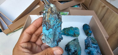 Lot 8 Chrysocolla Quartz Rough