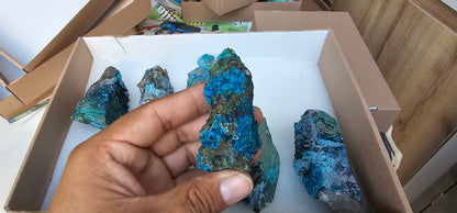 Lot 8 Chrysocolla Quartz Rough