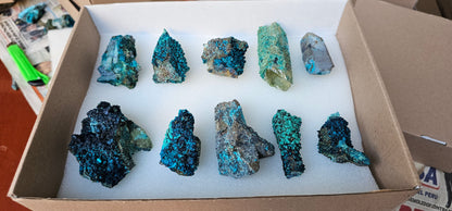 Lot 10 Chrysocolla Quartz Rough