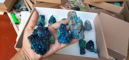 Lot 10 Chrysocolla Quartz Rough