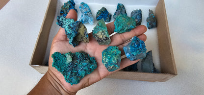 Lot 18 Chrysocolla Quartz Rough