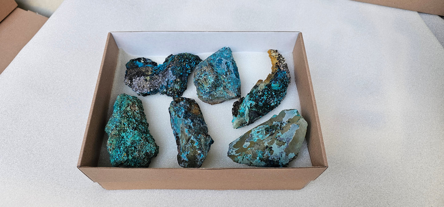 Lot 6 Chrysocolla Quartz Rough