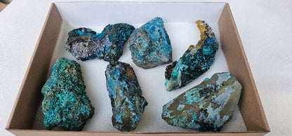 Lot 6 Chrysocolla Quartz Rough