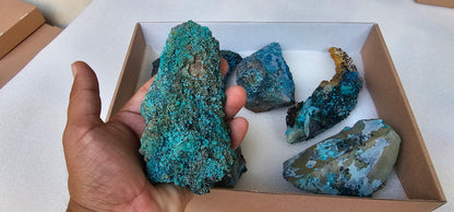 Lot 6 Chrysocolla Quartz Rough