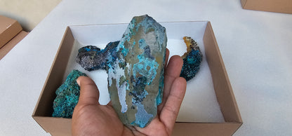 Lot 6 Chrysocolla Quartz Rough