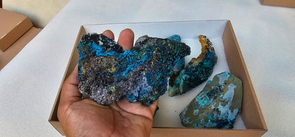 Lot 6 Chrysocolla Quartz Rough