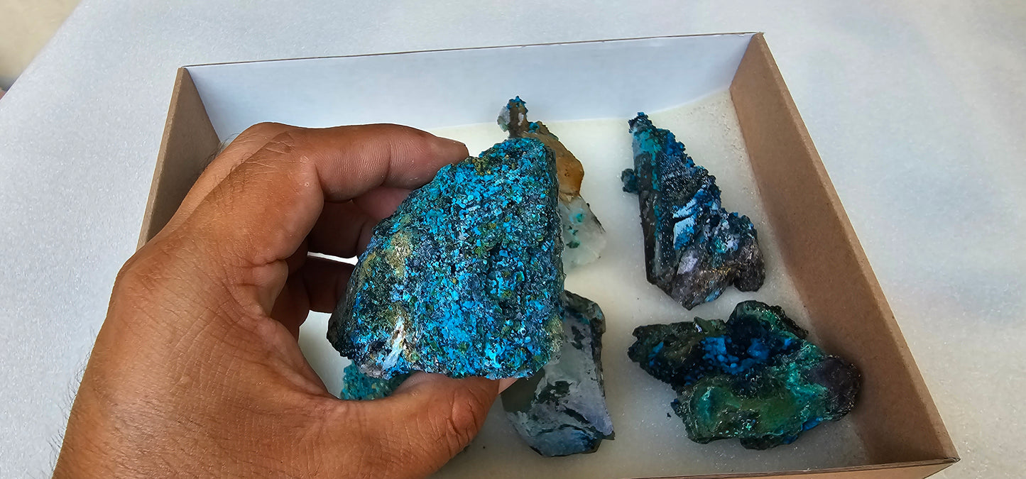 Lot 8 Chrysocolla Quartz Rough