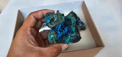 Lot 8 Chrysocolla Quartz Rough