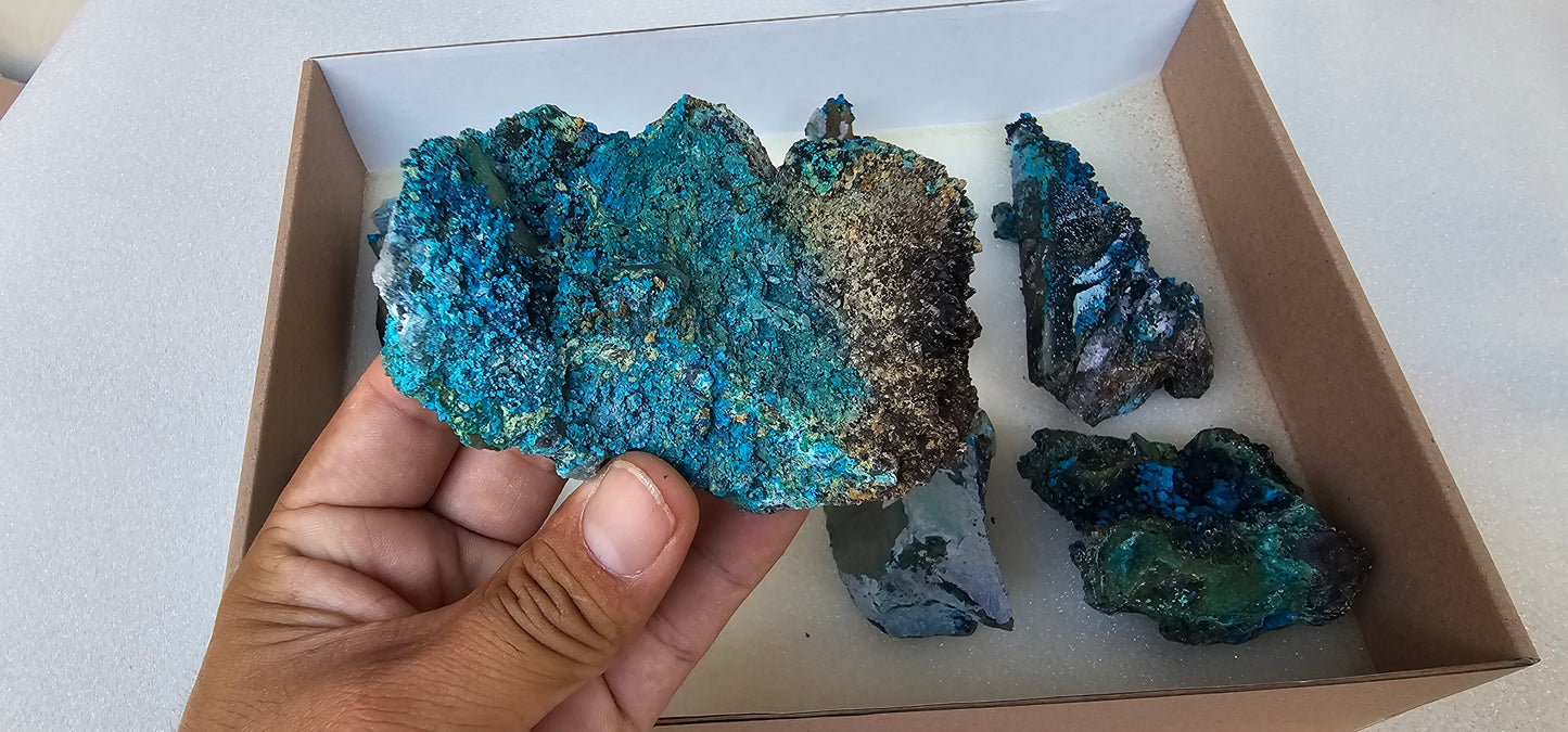 Lot 8 Chrysocolla Quartz Rough