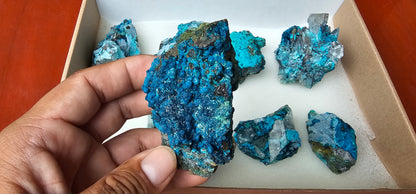 Lot 8 Chrysocolla Quartz Rough