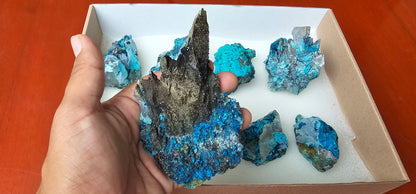 Lot 8 Chrysocolla Quartz Rough