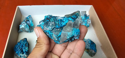 Lot 8 Chrysocolla Quartz Rough