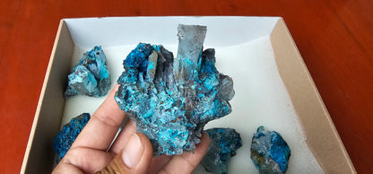 Lot 8 Chrysocolla Quartz Rough