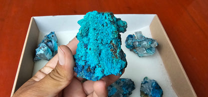 Lot 8 Chrysocolla Quartz Rough