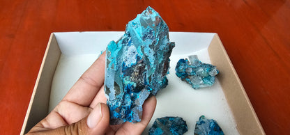 Lot 8 Chrysocolla Quartz Rough