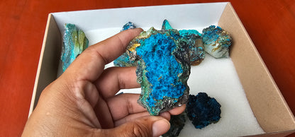 Lot 9 Chrysocolla Quartz Rough