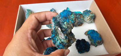 Lot 9 Chrysocolla Quartz Rough