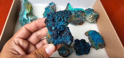 Lot 9 Chrysocolla Quartz Rough