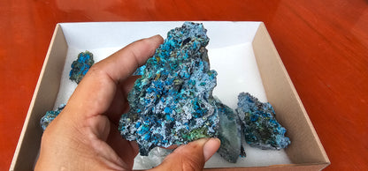 Lot 8 Chrysocolla Quartz Rough