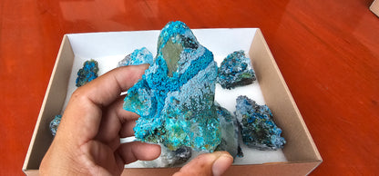 Lot 8 Chrysocolla Quartz Rough