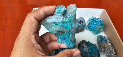 Lot 8 Chrysocolla Quartz Rough