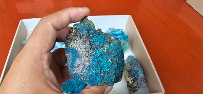 Lot 8 Chrysocolla Quartz Rough